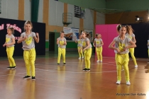 Urzd Miejski w Wolsztynie